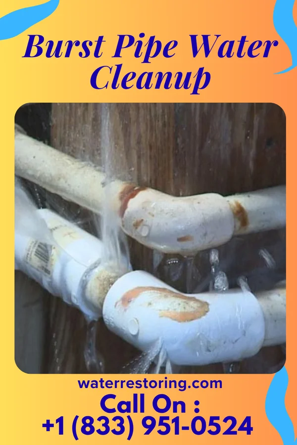 Burst Pipe Water Cleanup in Belle Center, OH
