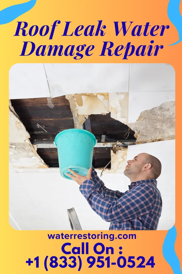 Roof Leak Water Damage Repair in Belle Center, OH