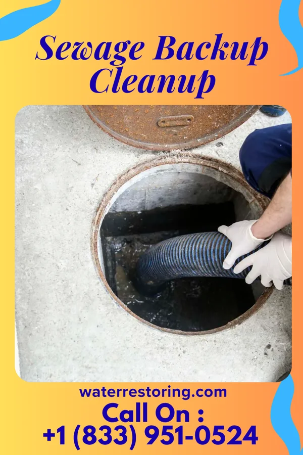 Sewage Backup Cleanup in Belle Center, OH
