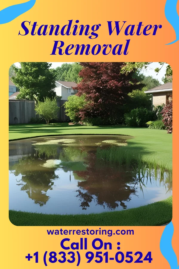 Standing Water Removal in Belle Center, OH